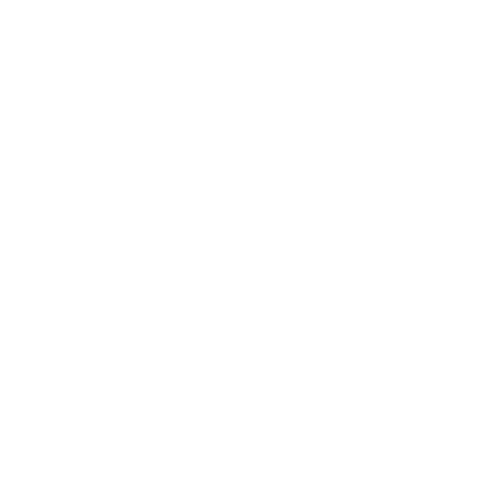 Noir Vanta